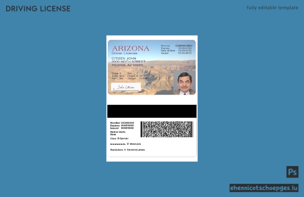 USA Arizona Führerschein Version 2 – Beispielvorschau
